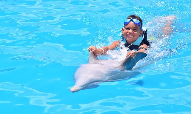 Dolphin Island — Encuentro