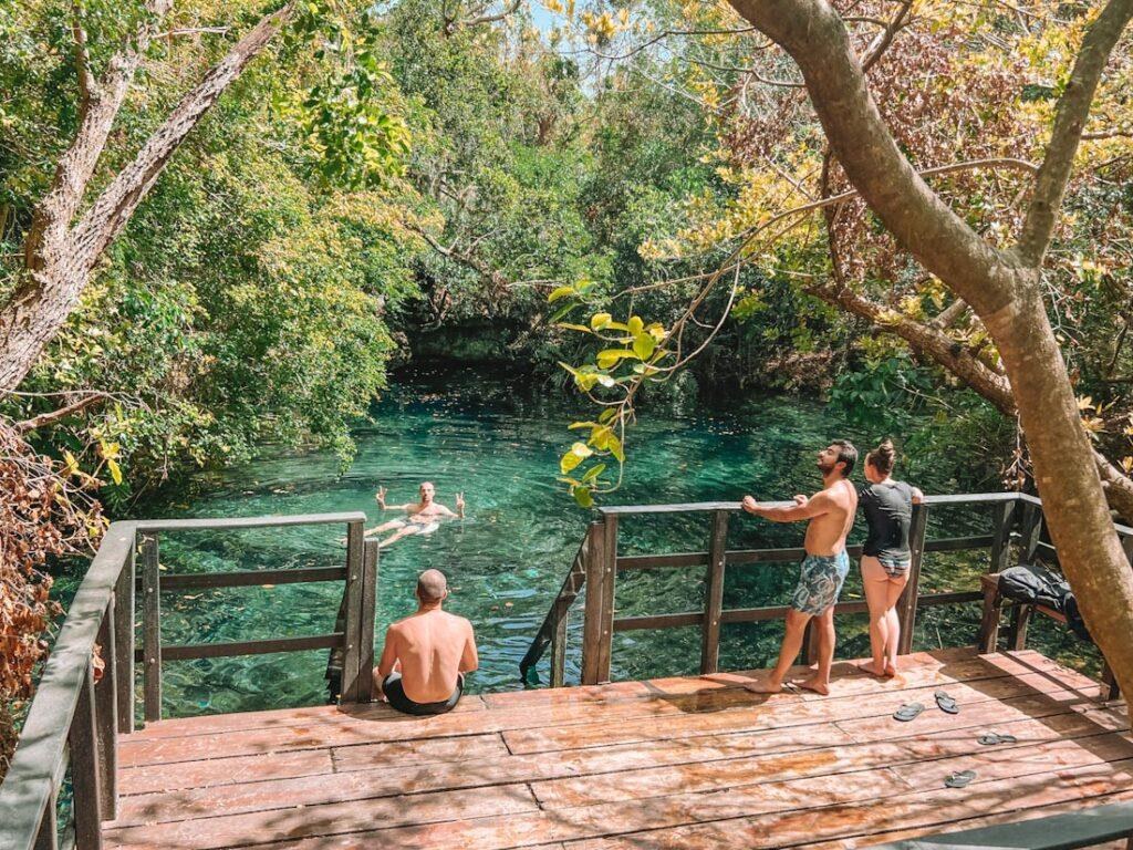 Ojos Indígenas — Eco Tour